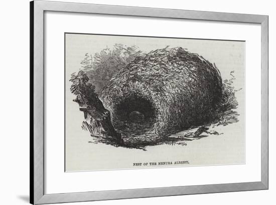 Nest of the Menura Alberti-null-Framed Giclee Print