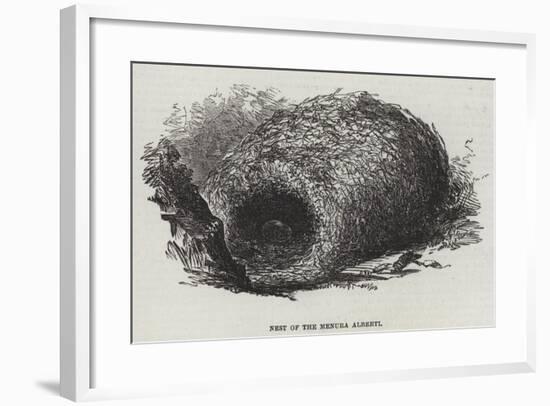 Nest of the Menura Alberti-null-Framed Giclee Print