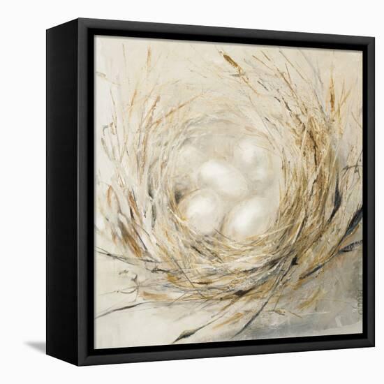 Nest with Pale Eggs-Dina Dargo-Framed Stretched Canvas