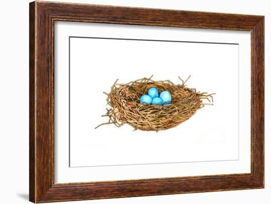 Nest-Wendy Edelson-Framed Giclee Print