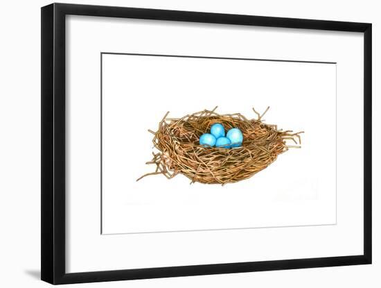 Nest-Wendy Edelson-Framed Giclee Print