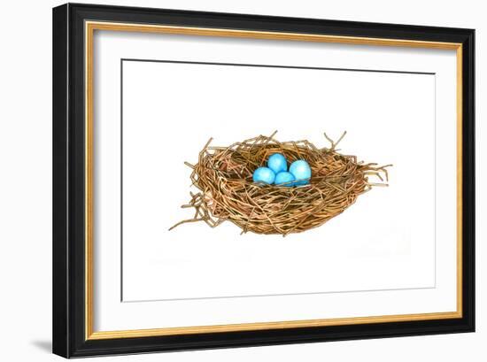 Nest-Wendy Edelson-Framed Giclee Print