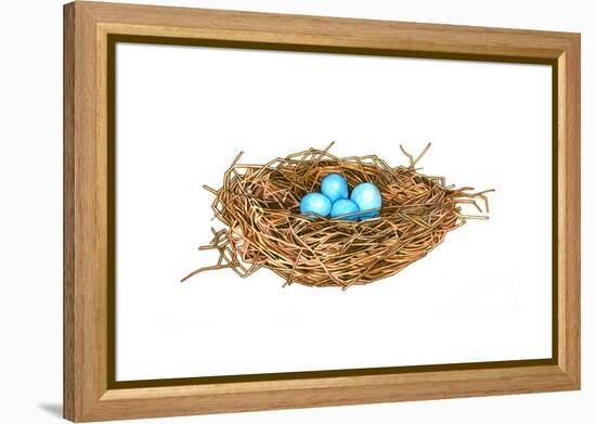 Nest-Wendy Edelson-Framed Premier Image Canvas