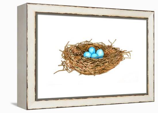 Nest-Wendy Edelson-Framed Premier Image Canvas