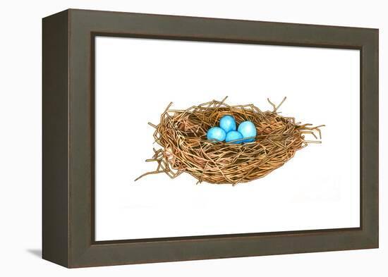 Nest-Wendy Edelson-Framed Premier Image Canvas