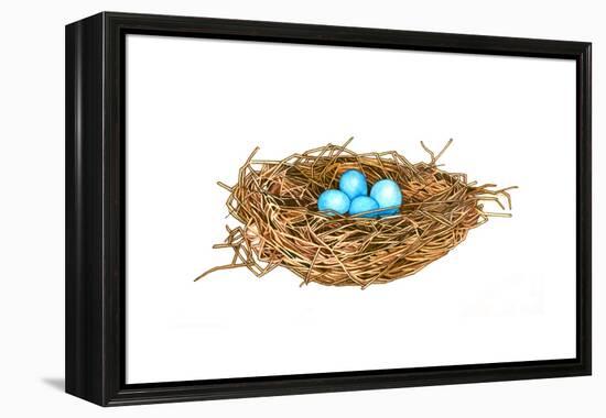 Nest-Wendy Edelson-Framed Premier Image Canvas