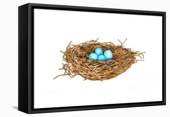 Nest-Wendy Edelson-Framed Premier Image Canvas