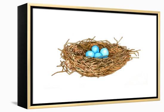 Nest-Wendy Edelson-Framed Premier Image Canvas