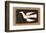 Nesting Bird-Breon O'Casey-Framed Giclee Print