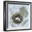 Nesting Collection I-Jade Reynolds-Framed Art Print