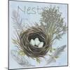 Nesting Collection I-Jade Reynolds-Mounted Art Print