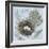 Nesting Collection I-Jade Reynolds-Framed Art Print