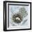 Nesting Collection I-Jade Reynolds-Framed Art Print