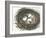 Nesting Eggs I-Samuel Dixon-Framed Art Print