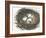 Nesting Eggs I-Samuel Dixon-Framed Art Print