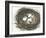 Nesting Eggs I-Samuel Dixon-Framed Art Print