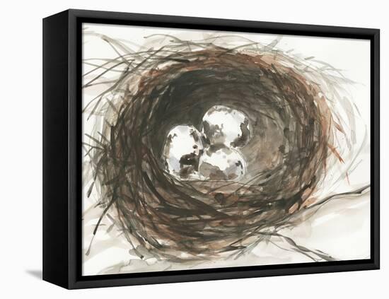 Nesting Eggs III-Samuel Dixon-Framed Stretched Canvas