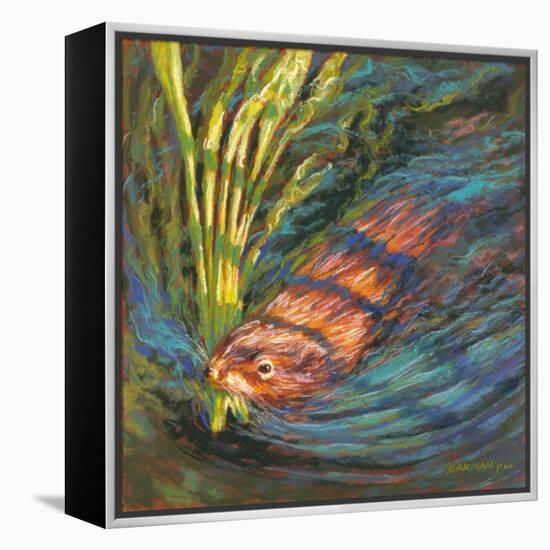 Nesting (formerly Nutria)-Rita Kirkman-Framed Stretched Canvas