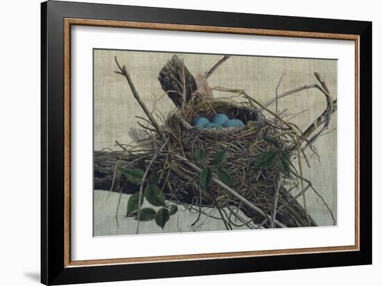 Nesting II-John Butler-Framed Art Print