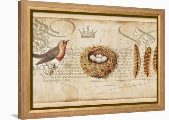 Nesting II-Deborah Devellier-Framed Stretched Canvas