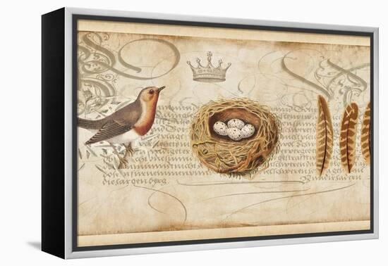 Nesting II-Deborah Devellier-Framed Stretched Canvas