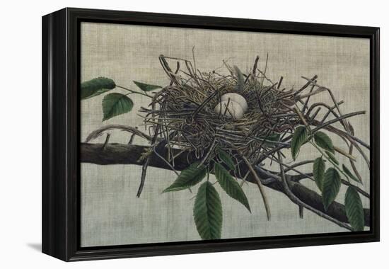 Nesting III-John Butler-Framed Stretched Canvas