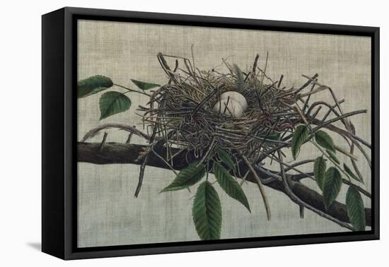 Nesting III-John Butler-Framed Stretched Canvas