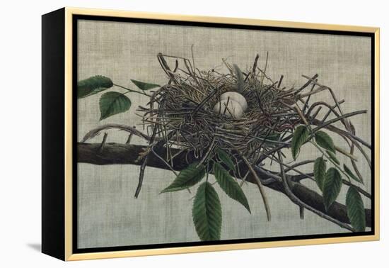 Nesting III-John Butler-Framed Stretched Canvas