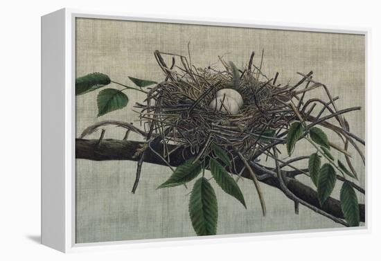 Nesting III-John Butler-Framed Stretched Canvas