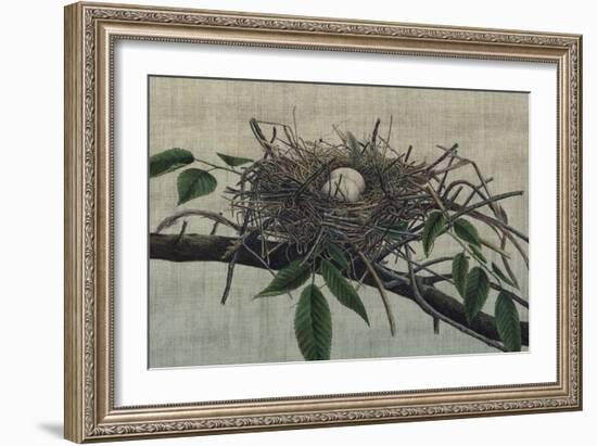 Nesting III-John Butler-Framed Art Print