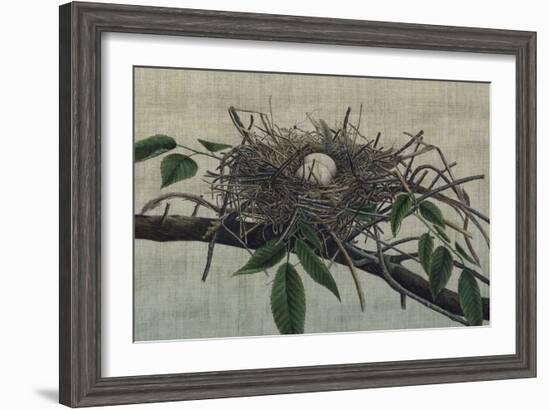 Nesting III-John Butler-Framed Art Print