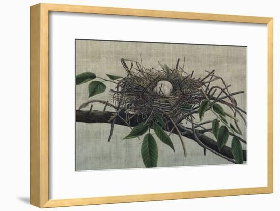 Nesting III-John Butler-Framed Art Print