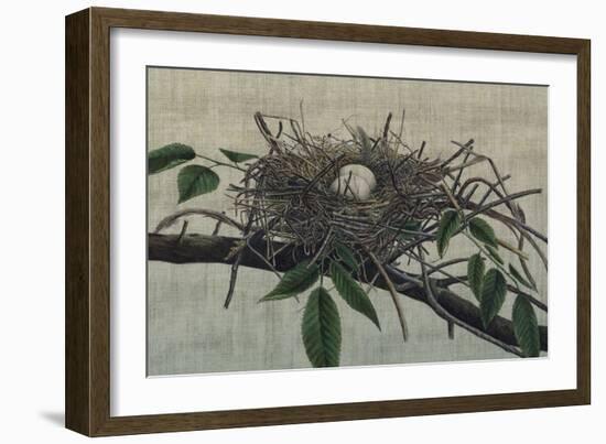 Nesting III-John Butler-Framed Art Print