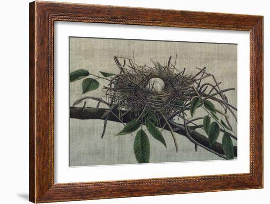 Nesting III-John Butler-Framed Art Print