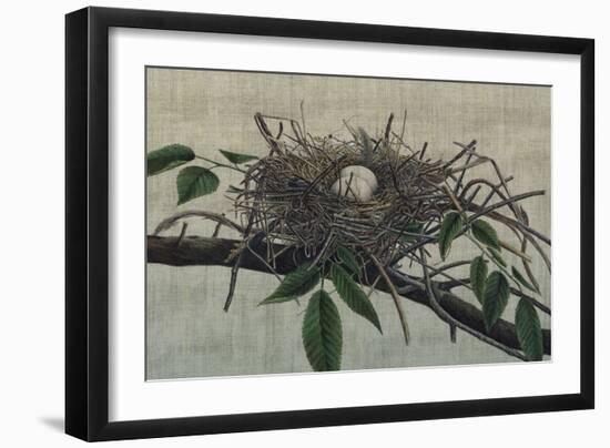 Nesting III-John Butler-Framed Art Print