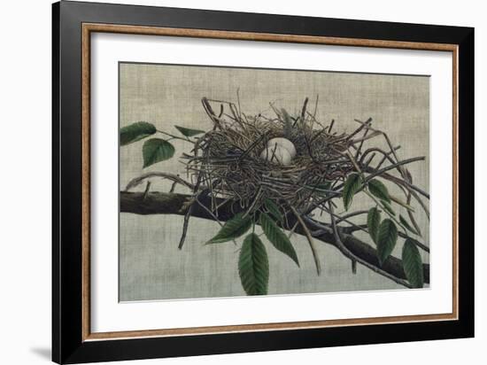 Nesting III-John Butler-Framed Art Print