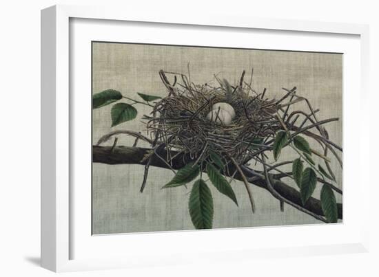 Nesting III-John Butler-Framed Art Print