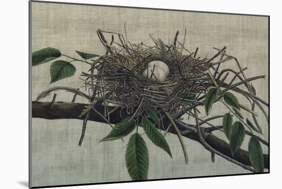 Nesting III-John Butler-Mounted Art Print