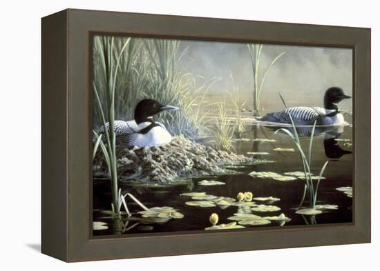 Nesting Loons-Wilhelm Goebel-Framed Premier Image Canvas