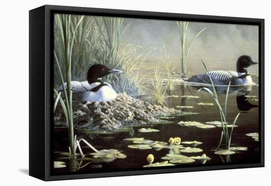 Nesting Loons-Wilhelm Goebel-Framed Premier Image Canvas