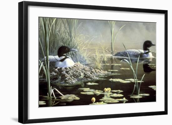 Nesting Loons-Wilhelm Goebel-Framed Giclee Print