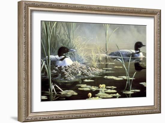 Nesting Loons-Wilhelm Goebel-Framed Giclee Print