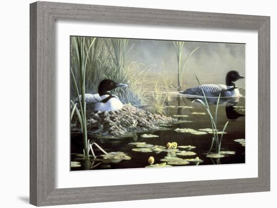 Nesting Loons-Wilhelm Goebel-Framed Giclee Print