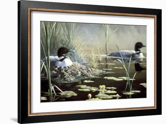 Nesting Loons-Wilhelm Goebel-Framed Giclee Print