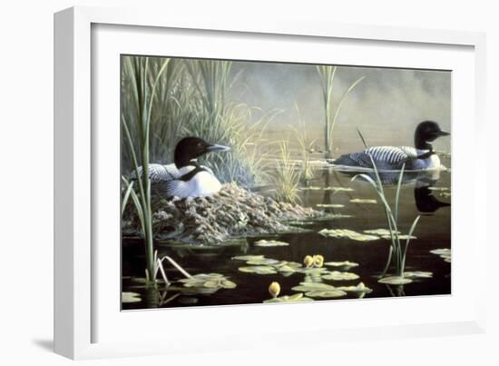 Nesting Loons-Wilhelm Goebel-Framed Giclee Print