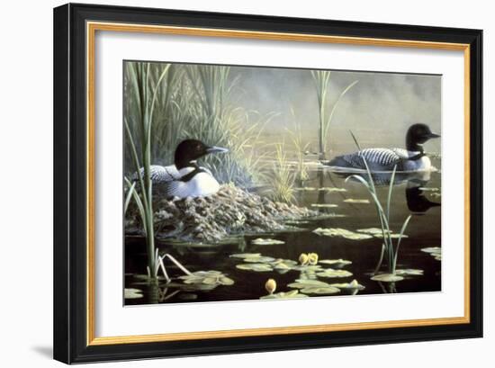 Nesting Loons-Wilhelm Goebel-Framed Giclee Print