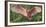 Nesting Spoonbill-Wink Gaines-Framed Giclee Print