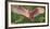 Nesting Spoonbill-Wink Gaines-Framed Giclee Print