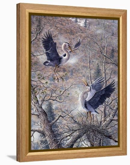 Nesting Time - Great Blue Herons-Jeff Tift-Framed Premier Image Canvas