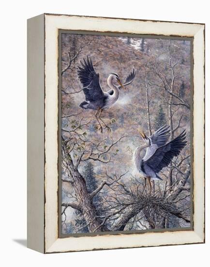 Nesting Time - Great Blue Herons-Jeff Tift-Framed Premier Image Canvas